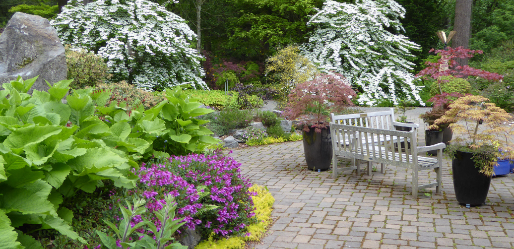 Rhododendron Species Botanical Garden, United States